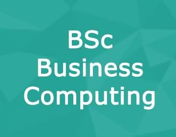 Brunel University – BSc Business Computing