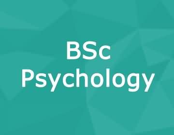 Brunel University – BSc Psychology