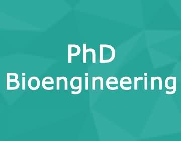 Brunel University – PhD Bioengineering