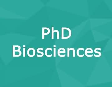 Brunel University – PhD Biosciences