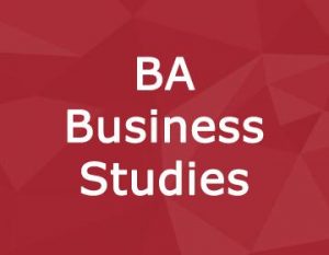 lsc-bachelor-business-studies